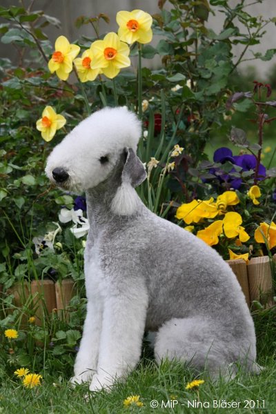 2011-04-23 Quincy etc (27).jpg